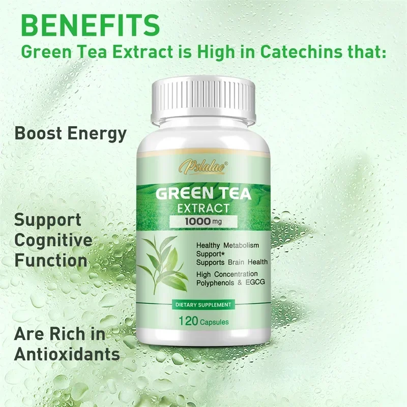 Green Tea Extract Fat - 녹차 추출물 - 폴리페놀 98%, EGCG