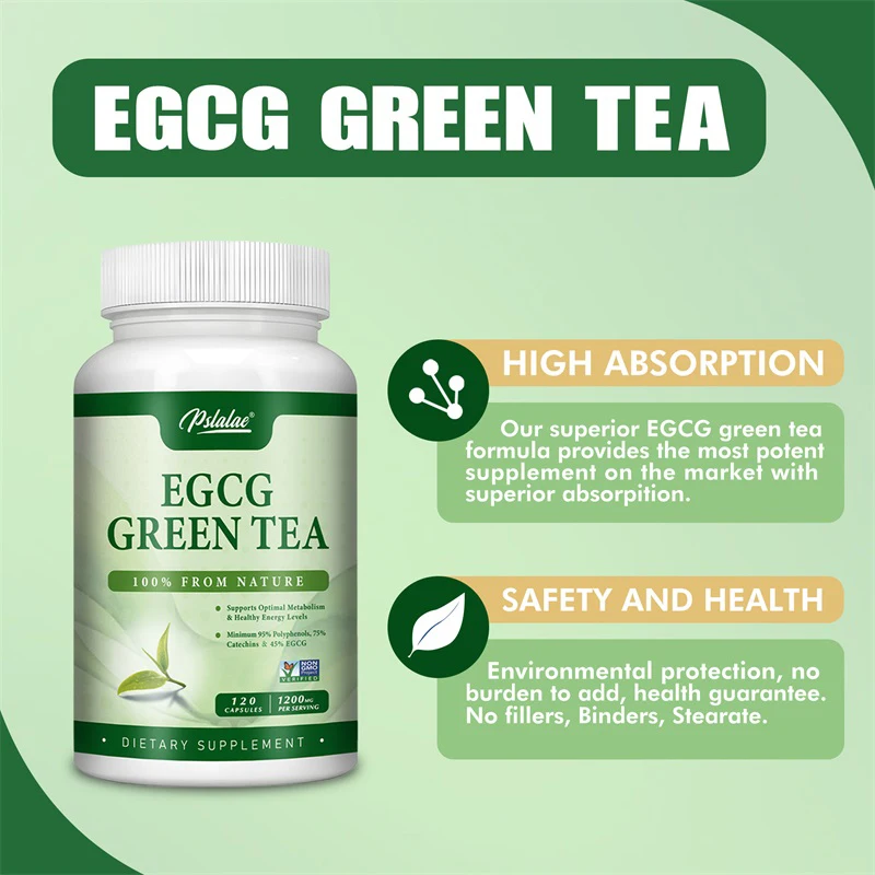 Green Tea Extract Fat - EGCG 녹차 추출물 - 신진대사를 촉진하고