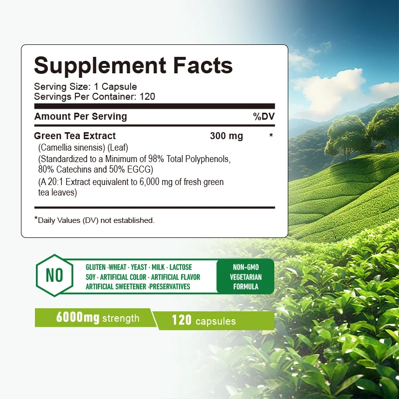 녹차 캡슐 - 신진대사 촉진, 뱃살 연소, 식욕 억제제 - Green Tea Extract Fat 리뷰 및 가격