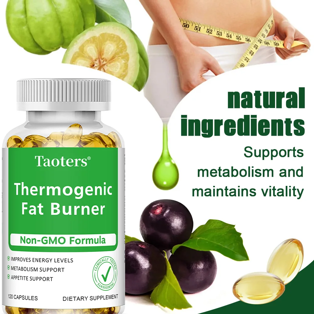 녹차 추출물 - 사과 식초 함유, 지방 연소 및 억제, - Green Tea Extract Fat 리뷰 및 가격