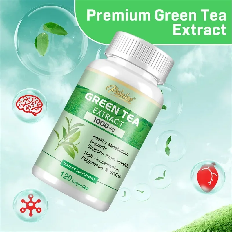 녹차 추출물 - 폴리페놀 98%, EGCG 50% 함유 - Green Tea Extract Fat 리뷰 및 가격