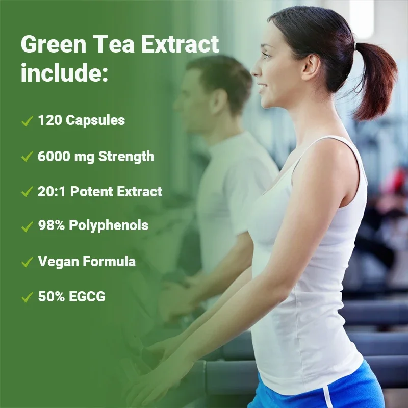 녹차 캡슐 - 복부 지방 연소제, 식욕 억제제, 신진대 - Green Tea Extract Fat 리뷰 및 가격