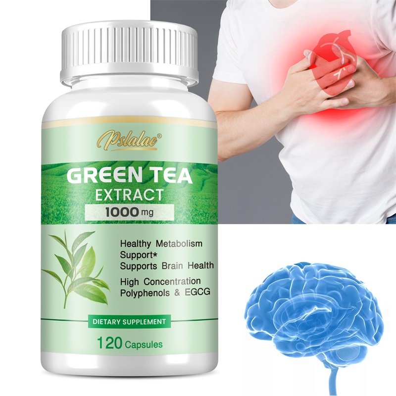 녹차 추출물 - 폴리페놀 98%, EGCG 50% 함유 - Green Tea Extract Fat 리뷰 및 가격