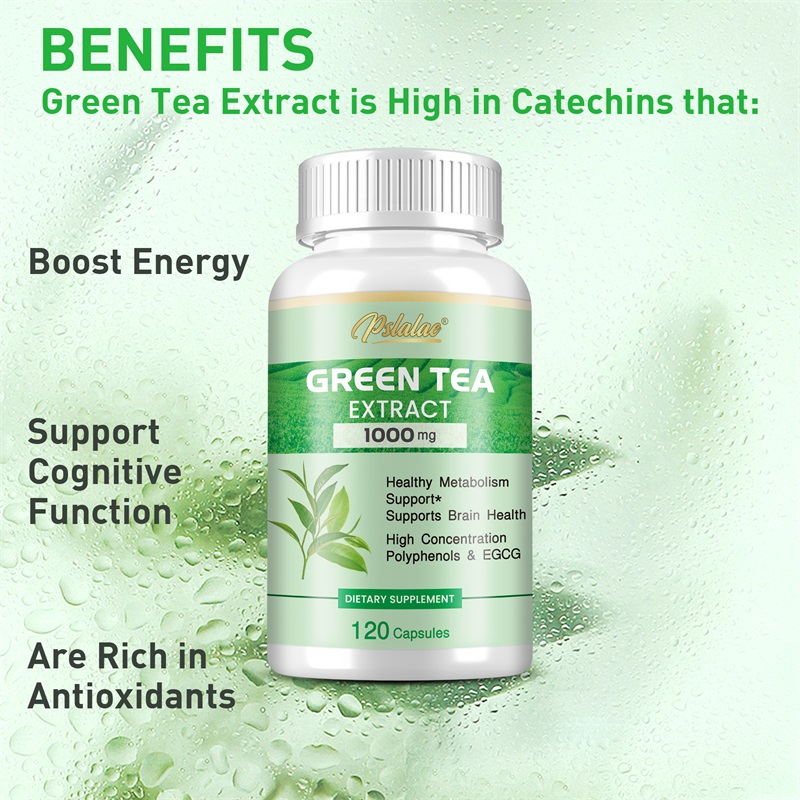 녹차 추출물 - 폴리페놀 98%, EGCG 50% 함유 - Green Tea Extract Fat 리뷰 및 가격
