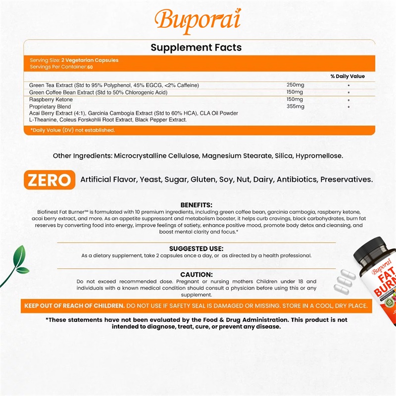 지방 연소 보충제 - 칼로리 연소 및 지방 대사 촉진, - Green Tea Extract Fat 리뷰 및 가격