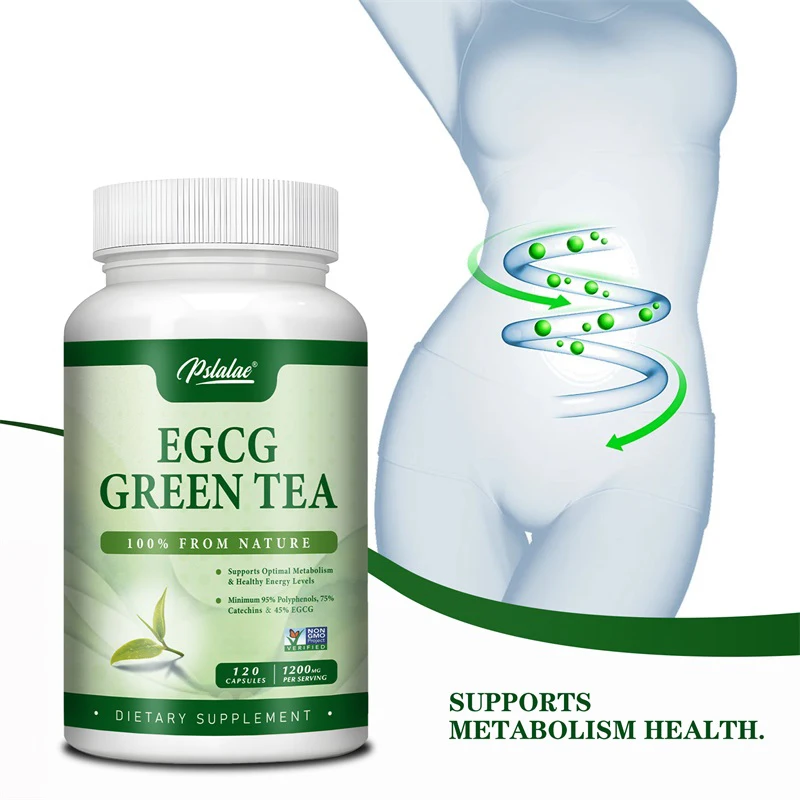 EGCG 녹차 추출물 - 신진대사를 촉진하고 건강한 지 - Green Tea Extract Fat 리뷰 및 가격